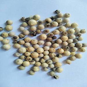 Pimienta Blanca India Natural de Nueva Temporada, Especia Entera con 24 Meses de Vida Útil para Compradores B2B Globales que Buscan Ingredientes Versátiles para Alimentos - Product Image 3