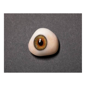 Ojos Artificiales Hechos a Medida para Prótesis Oculares, Reemplazo de Ojos y Restauración Estética Facial - Product Image 3