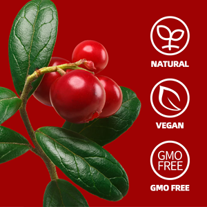 OEM ODM Listo para Enviar Bolsitas de Té de Arándanos Mezcla Natural de Arándanos y Hibisco Apoya la Salud del Tracto Urinario 10 Bolsitas - Product Image 5