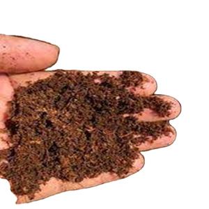 Blocs de Cocopeat à faible EC de haute qualité pour l'agriculture hydroponique conditionneur de sol de départ de semences de l'Inde approvisionnement en gros - Product Image 3