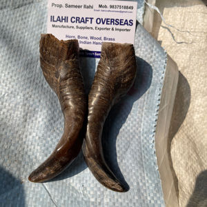 Paire de cornes de chèvre naturelles finies pour la décoration et l'artisanat, haute qualité - Product Image 1