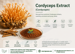 Cuerpo fructífero de Cordyceps natural puro de suministro directo de fábrica HGO (grado alimenticio) Especificación Cordycepin 2% EXTRACTO DE Cordyceps - Product Image 3