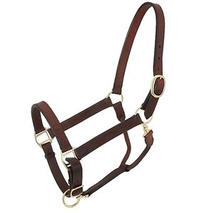 Licol en nylon réglable pour cheval – Collier de tête robuste avec quincaillerie métallique solide – Équipement équestre - Product Image 3