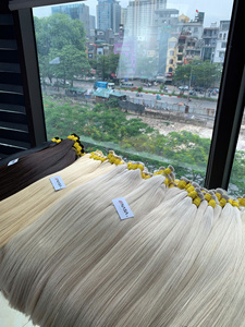 Prix de gros Extensions de cheveux vierges vietnamiens naturels pleine longueur 40cm 75cm Super Double Drawn décolorés teints noir blond - Product Image 4