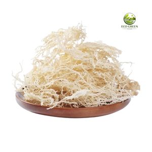 Mousse d'Irlande blanche naturelle, mousse de mer séchée, algues marines biologiques, fournisseur en gros pour les smoothies, la fabrication de gels et les produits de soin de la peau - Product Image 1