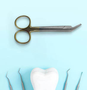 กรรไกรตัดลวดสแตนเลส กรรไกรตัดลวดสำหรับงานทันตกรรมและศัลยกรรม - Product Image 3