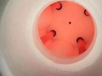 Élément chauffant en carbure de silicium à double spirale haute température 1600°C, résistances SiC pour four dentaire