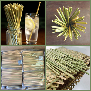 Pajitas Ecológicas 100% Naturales, Pajitas de Hierba Sin Químicos - Product Image 2
