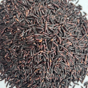 ARROZ NEGRO PREMIUM AL POR MAYOR |   PROVEEDOR DE ARROZ ECOLÓGICO SECO DE GRANO MEDIO DE VIETNAM |   CALIDAD DE EXPORTACIÓN GARANTIZADA |   Sra. CELESTE - Product Image 6