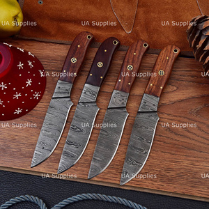 Custom Hand Forged Full Tang Damascus Steel Wholesale BBQ Steak <b>Knives</b> <b>Set</b> OEM ODM Available High Quality Paring Chef <b>Knives</b> - Product Image 6