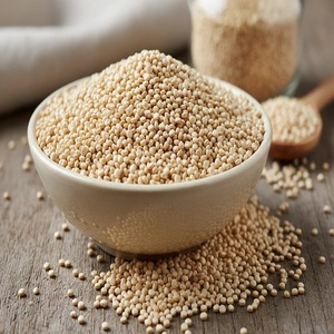 Graines de quinoa blanches de qualité supérieure pour des repas sains, avec une qualité propre et une valeur nutritive pour la cuisine quotidienne et la préparation culinaire. - Product Image 3