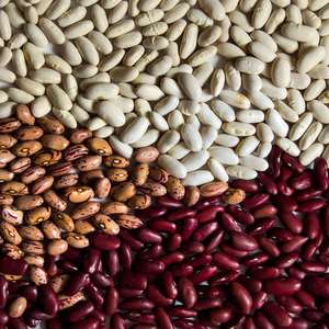 Haricots rouges clairs en gros, qualité alimentaire supérieure, haricots séchés naturels et sains, légumineuses pour l'exportation mondiale, prix réduits - Product Image 1
