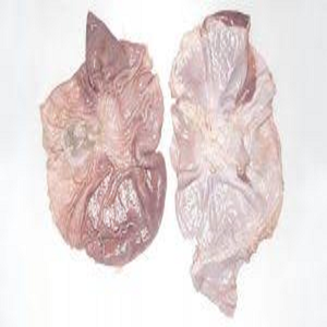 Estómago de Cerdo Congelado de Alta Calidad, Desgrasado y Limpio, Venta al por Mayor de Carne de Estómago de Cerdo - Product Image 4
