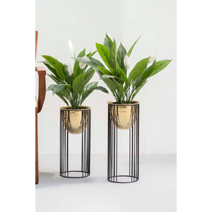 Juego de 3 Macetas Modernas de Latón con Soporte, Macetas Doradas de Metal para Decoración de Salón, Maceta Dorada con Soporte de Forma Redonda - Product Image 5
