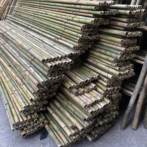 Poteaux en bambou en vrac, qualité stable et livraison ponctuelle depuis le Vietnam - Product Image 1