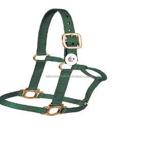 Licou de style anglais de haute qualité pour chevaux PVC coloré avec nylon et cuir idéal pour la selle anglaise - Product Image 3