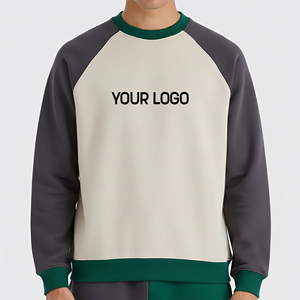 New Arrived Raglan Sleeve Crew Neck <b>Sweatshirt</b> 100% Cotton <b>Fleece</b> Oversized Drop Shoulder Heavyweight Streetwear <b>Sweatshirt</b> - Product Image 1