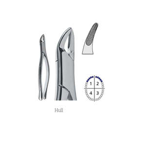 Pinzas de Extracción Dental de Diseño Moderno y Seguro para Cepillos y Alicates, con Bajo MOQ, de Dentavex - Product Image 5