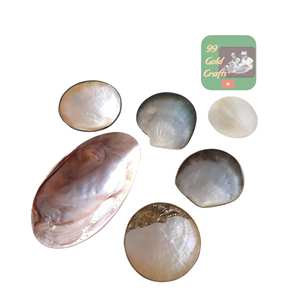 Fabricant polyvalent de plats en nacre du Vietnam pour servir des salades de fruits et accessoires de restauration de luxe les plus vendus - Product Image 3