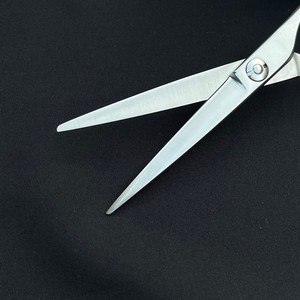 ชุดกรรไกรตัดผมตรงสำหรับร้านเสริมสวยมืออาชีพ ขนาด 6 นิ้ว ผลิตจากสแตนเลสเคลือบไทเทเนียม ด้ามจับแบบออฟเซ็ต ปลายคมสำหรับตัดผม - Product Image 5