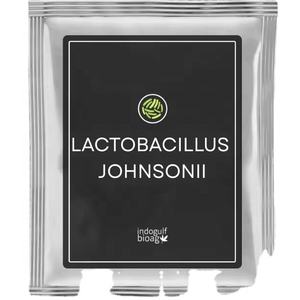 Probiotiques Lactobacillus Johnsonii de la marque IGC, origine Maharashtra - Product Image 1