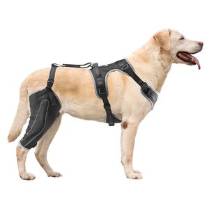 Soporte Ajustable para Rodilla de Perro con Bisagra Estabilizadora, Arnés para Pata Trasera Derecha, Férula para Articulación de Mascota para Perros con Rotura de LCA - Product Image 1