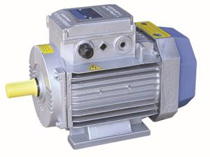 Moteur AC monophasé OEM 220V 50/60Hz Boîtier en fonte Enroulement en cuivre IP55 Étanche aux gouttes - Product Image 5