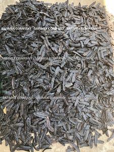 Champú Herbal Bo Ket Honey Locust para el Cabello, Nutritivo, Reparador, Refrescante, Cuidado Diario, Empaque a Granel OEM - Product Image 6