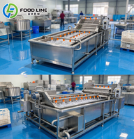 Voedselverwerkingsmachine met belletjeswasmachine en luchtbellenreinigingsmachine voor gebruik in de fruit- en groentelijn