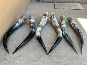 Paire de cornes de bison polies, décoration murale, design Art Déco, grande taille de 27 à 35 pouces, pour mariage, anniversaire - Product Image 2