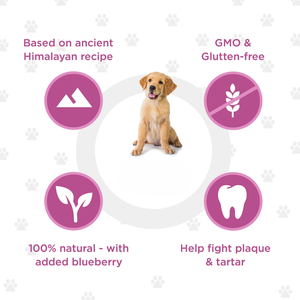 Masticables de Leche de Yak del Himalaya con Arándanos para Perros, Sin Granos, Naturales, de Larga Duración, Altos en Proteínas, para la Salud Dental, Snack Orgánico - Product Image 4