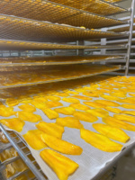 Vietnam Premium Zachte Zoete AD Watergeconserveerde Gesneden Gedroogde Mango 250gr Vacuümverpakking Bulkverpakking Klaar om te eten Groothandel-IIGLOBAL