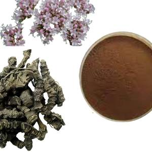 Fournisseur d'extraits végétaux : Extrait soluble d'huile de Tagar, ingrédient botanique naturel en gros - Product Image 3