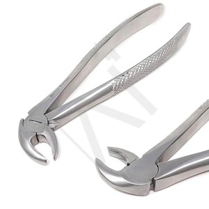 Instrument d'extraction dentaire Accuram, forceps de qualité supérieure pour l'extraction des dents, instrument pour dentistes professionnels, acier inoxydable - Product Image 1