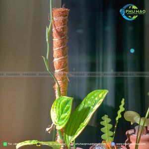 Cinta de Fibra de Coco Natural para Protección de Árboles y Paisajismo Ecológico, Alta Calidad y Buen Precio - Product Image 2