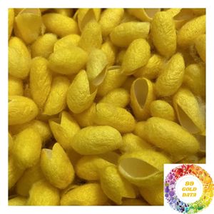 Capullos de Seda Natural al por Mayor de Vietnam para Fábricas Textiles, Fábricas de Hilado de Seda y Producción de Seda Cruda - Product Image 1