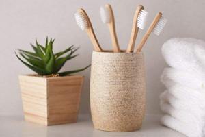 Cepillo de Dientes 100% Natural y Ecológico de Bambú con Carbón Vegetal Biodegradable, con Logotipo Personalizado, Precio de Fábrica al por Mayor, Vietnam - Product Image 4