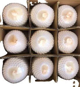 มะพร้าวเพชรพรีเมี่ยมจากเวียดนามที่สดใหม่พร้อมรสชาติหวานธรรมชาติปอกเปลือกสินค้าเกษตร - Product Image 2