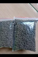 Premium kwaliteit papajazaad, hoogproductieve variëteit, landbouwteelt, merk CRADLE LIFE, 12 maanden houdbaarheid