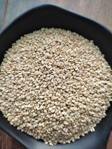 Graines de sésame blanches de haute qualité par l'exportateur vérifié - Product Image 5