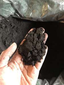 Polvo de Carbón Vegetal Negro Premium Mezclado con Incienso de Madera para la Elaboración de Agarbatti Religioso |   Enchufe Coriander |   Proveedor de Vietnam - Product Image 5