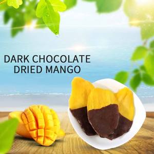 EXPAD Tranches de mangue trempées dans du chocolat noir, collation de fruits confits sucrés, parfum de mangue mûre, biologique, origine Vietnam, 0,6 kg, pot Mason sous vide - Product Image 5