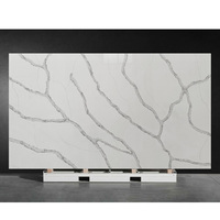 Sans silice Cringe-Worthy Fabuleux Minimaliste Résidentiel Ingénierie Appartement Artificielle Quartz Pierre Cuisine Benchtop Dalle