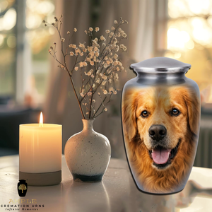 โกศใส่เถ้ากระดูกสัตว์เลี้ยงสำหรับสุนัขพันธุ์โกลเด้นรีทรีฟเวอร์ขนาดใหญ่ ทำจากอะลูมิเนียม ขนาด 220 คิวบิกอินช์ เป็นมิตรกับสิ่งแวดล้อม ทนทาน - Product Image 3