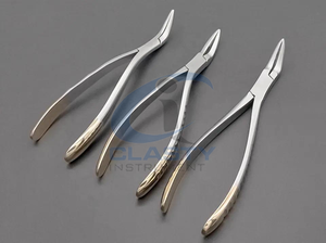Ensemble de forceps d'extraction dentaire CLASTY en acier inoxydable, poignée moletée manuelle, instruments chirurgicaux de classe I - Product Image 6