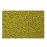 Munggo biologique de qualité export, Kacang Hijau, Munggo, Gramme verte, nettoyé à la machine et trié par Sortex, pour approvisionnement en vrac à prix compétitif