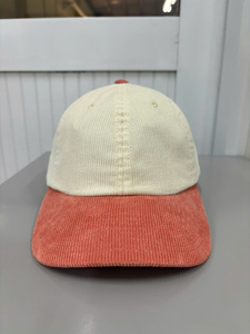 Gorra de Béisbol Fabricada en Vietnam con Logotipo Personalizado, 6 Paneles, Visera Precurvada, Sin Estructura, para Adultos, Uso en Exteriores - Product Image 1