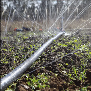 Manguera de Riego por Aspersión de PE Negra de 100m, Rociado Uniforme de Agua, Riego Agrícola, Duradera, Flexible, Fácil de Instalar, para Granjas - Product Image 3