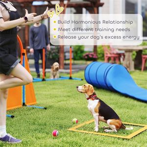 Attrezzatura per l'addestramento all'agility canina per un allenamento efficace dei cani - Product Image 6