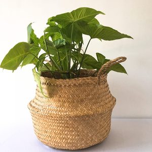 Panier de rangement multifonction pliable éco-responsable fait main toutes saisons en jonc de mer du Vietnam pour salle de bain et chaussures, vente en gros - Product Image 3